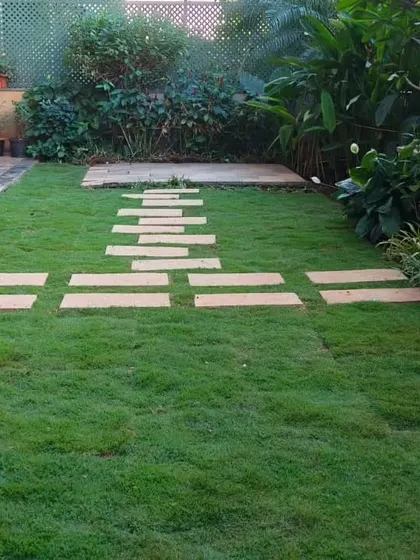 A simple yet elegant backyard design with a lush lawn and a stepping stone path leading to a small patio area.