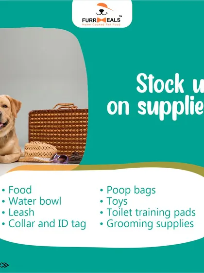 This extensive library of educational content covers everything a pet parent needs to know, from the benefits of turmeric and moringa to tips for hydration, sleep, dental health, and raising a new puppy.