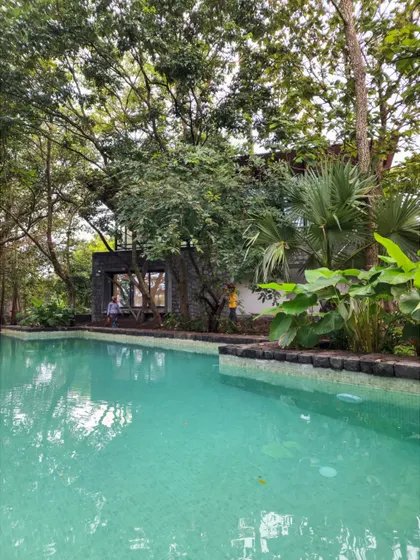 Water, sun, and plant life are the essential elements of our homes. This image from the Villa in a Grove captures the simple luxury of a pool nestled in nature.