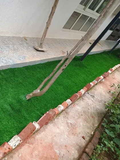 The completed turf strip provides a pleasant, green border that softens the hardscaping of the walkway and brick edging.