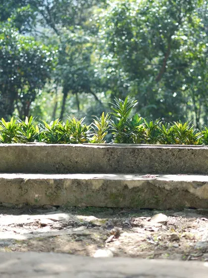A simple, two-tiered concrete planter filled with greenery, demonstrating how even basic structures can be beautiful in a natural setting.