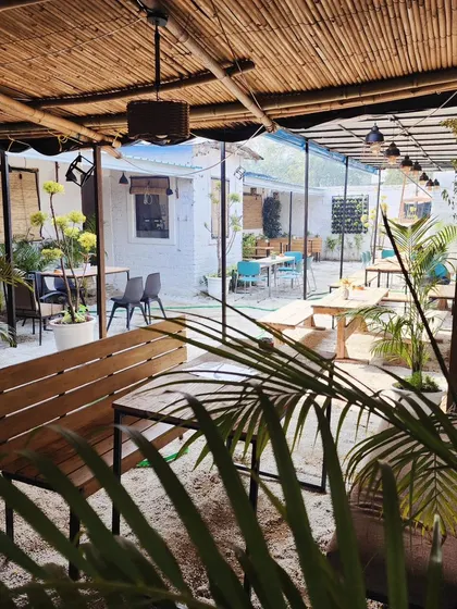 A view through the fronds of a palm tree in the cafe garden, creating a layered, tropical feel for guests.