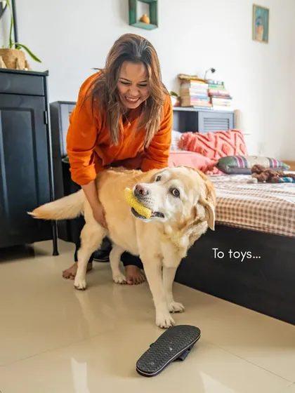 Mhysa, an 11-year-old Labrador, showing her love by bringing her mom a toy. Senior sessions are great for capturing these everyday rituals and quirky habits.