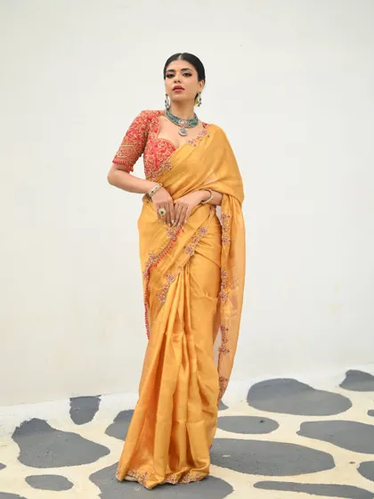 A full-length shot of the golden Kanjivaram tissue saree, showcasing its luxurious drape and the statement it makes.