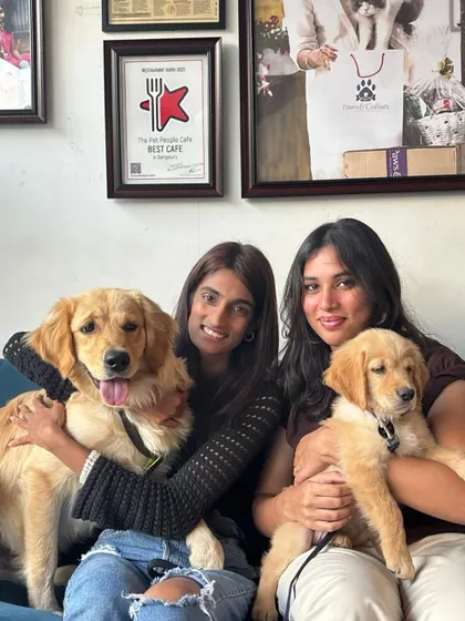 Double the puppy love. Two beautiful Golden Retrievers, one older and one a puppy, posing with their proud parents.