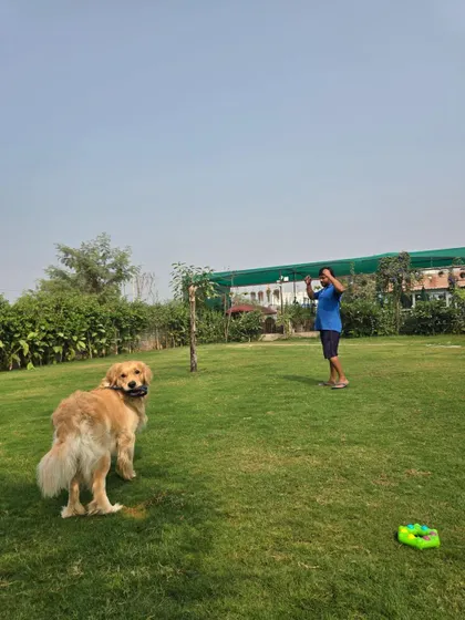 A pet parent playing with his Golden Retriever on the lawn. We encourage owners to join in the fun and strengthen their bond with their pets.