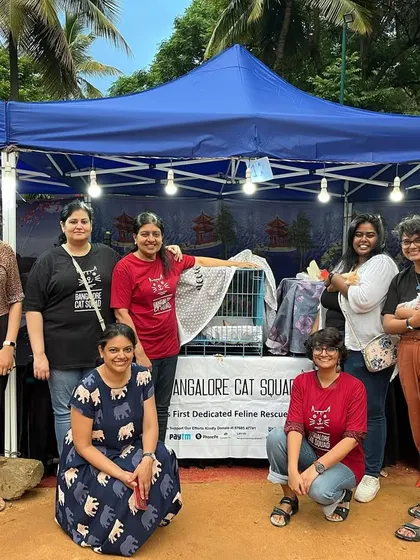 Thank you to Pugmarks for helping us with our 41st camp! It was a joy working with such a professional and friendly team to find homes for our cats.