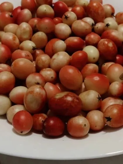 A bowl full of fresh Karonda berries. These are a rare find, and my mom turns them into a delicious pickle whenever she can get her hands on them.