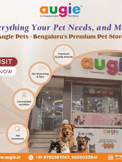 Everything your pet needs, and more. Augie Pets is Bengaluru's premium pet store, offering everything from pet grooming and spa services to pet insurance and premium quality brands.