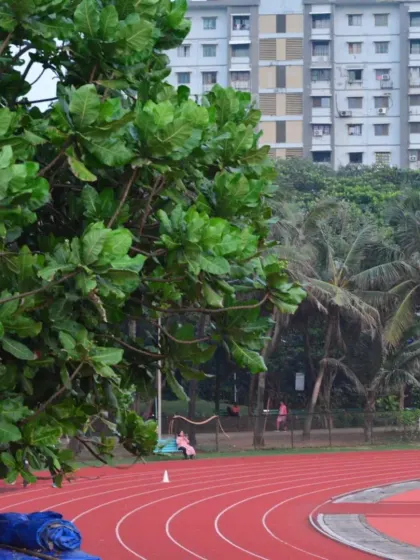 The vibrant red of the synthetic track contrasts beautifully with the lush green trees. This is the view that greets our athletes every day.