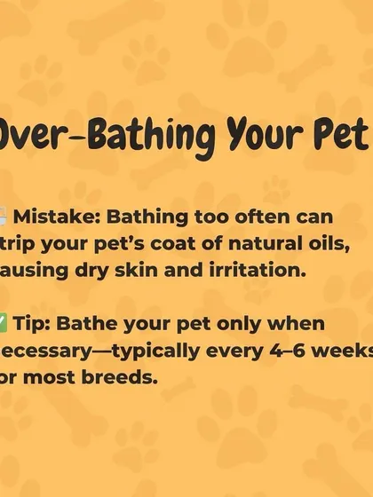 Over-bathing is a frequent mistake. It can strip your pet's coat of natural oils, leading to dry skin. I recommend bathing only every 4 to 6 weeks for most breeds.