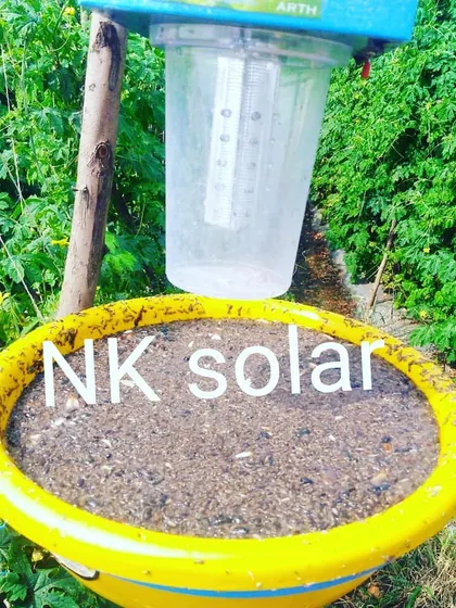 The collection basin of the solar insect trap after a night's work. This demonstrates the effectiveness of the system in reducing pest populations around crops without using any pesticides.
