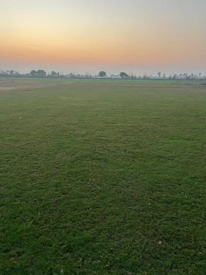 A serene view of my grass farm at sunset. The quality of the environment where the grass is grown reflects in the final product.