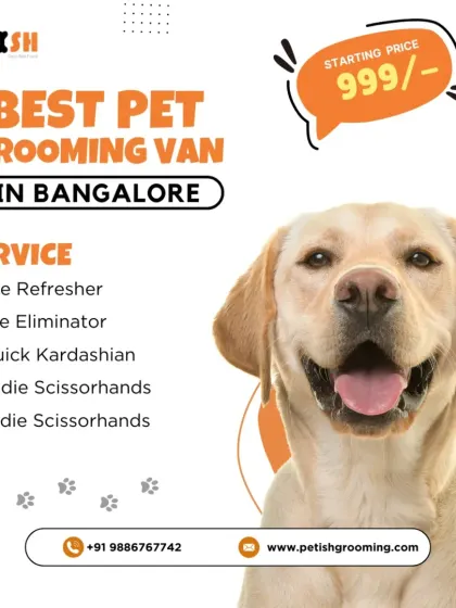 My services start at just ₹999, and with my weekday and weekend discounts, there's never been a better time to book Bangalore's best pet grooming van.