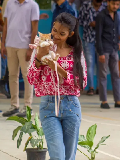 A young woman presenting her adorable ginger kitten, complete with a pink bow, at a pet fashion show.