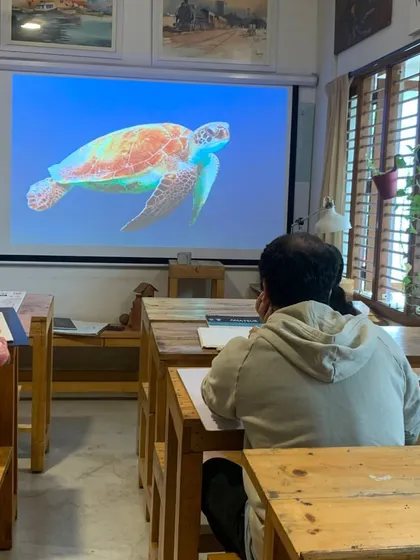 Observation is the first step in drawing. In this session, a student carefully studies the movement and form of a turtle projected on screen, a practice that hones the eye for detail required in realistic art.
