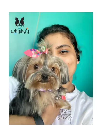 A selfie with a sweet Yorkshire Terrier client. Yorkies have fine, silky hair that requires careful grooming to prevent tangles.