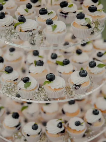 A close-up of the vanilla blueberry mini cupcakes from the wedding tower. Each one is topped with a simple swirl of buttercream, a fresh blueberry, and a sprig of mint, with baby's breath tucked in between.