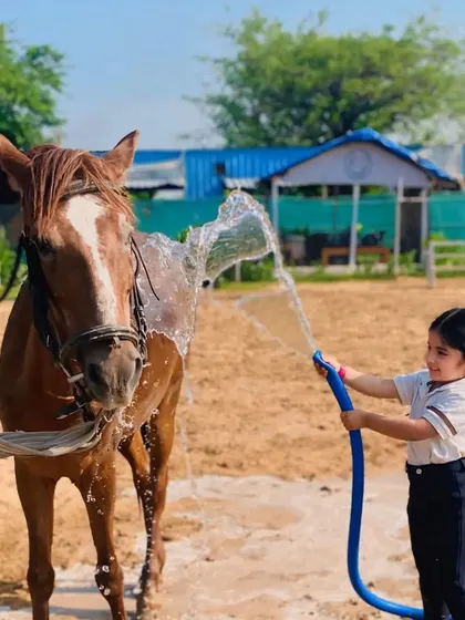 Fun with the hose. A young girl enjoys the task of bathing one of our horses.
