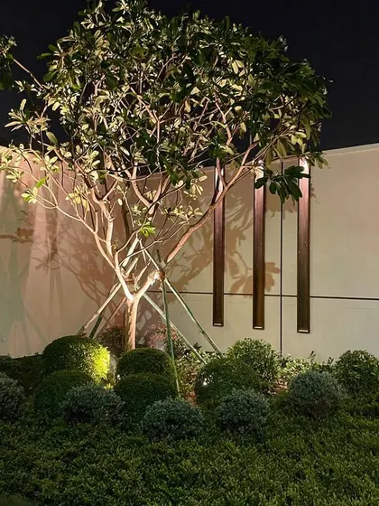 Night lighting is crucial for highlighting architectural and natural features. Here, I used an uplight to showcase the beautiful structure of a plumeria tree against a modern wall at a Chattarpur farmhouse.