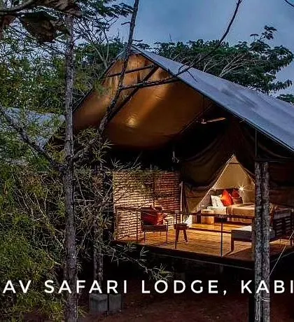 A night view of the elevated tent at KAAV Safari Lodge, glowing warmly amidst the trees, offering a safe and magical jungle experience.