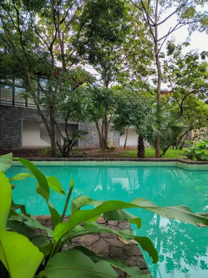 Another perspective of the pool at the Villa in a Grove, where the architecture recedes and the lush greenery takes center stage.