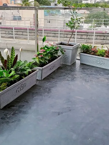 This is our garden transformation at Meena Regalia, where we lined the balcony with elegant planters. We used a variety of live plants with different colors and textures to create a vibrant and enchanting garden with a view of the city.