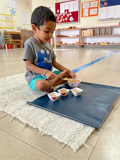 Spooning grains from one bowl to another is an early practical life activity. It isolates the wrist movement needed for writing and helps children develop control, precision, and the ability to complete a task from start to finish.
