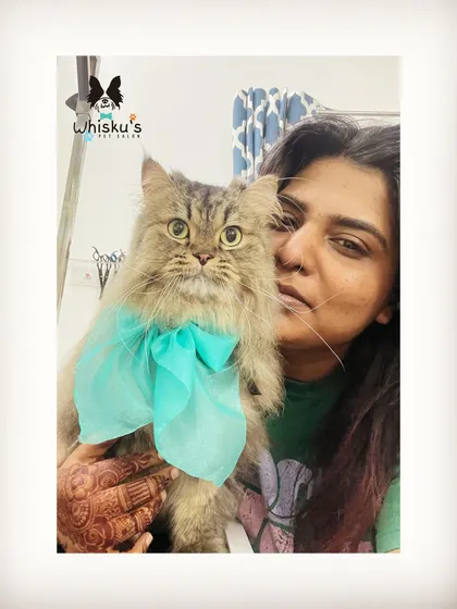 A selfie with a gorgeous Siberian cat. Their thick coats require regular professional grooming to prevent matting and keep them healthy.