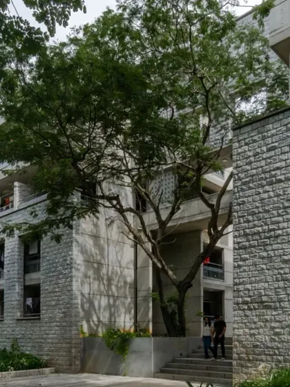 The interplay between the new concrete and stone structure and the mature trees on campus. The higher floors are slightly recessed to make the four-story building feel less intimidating and create a cascading facade.