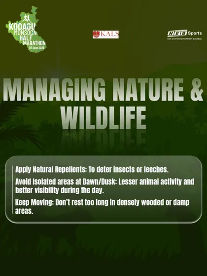 Here are our tips for managing nature and wildlife encounters, including using natural repellents and avoiding isolated areas at dawn or dusk.