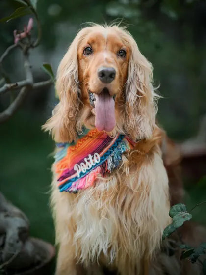 Another stunning shot from the Shantiniketan series. The natural background complements his colorful bandana.