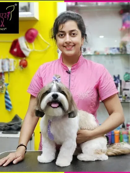 Stitch is looking sharp with his summer styling. This haircut keeps him cool and comfortable while maintaining the classic, adorable Shih Tzu look.