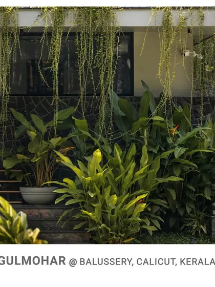 A close-up of the Gulmohar entrance, where cascading curtain creepers and natural stone walls create a living facade that is both beautiful and sustainable.