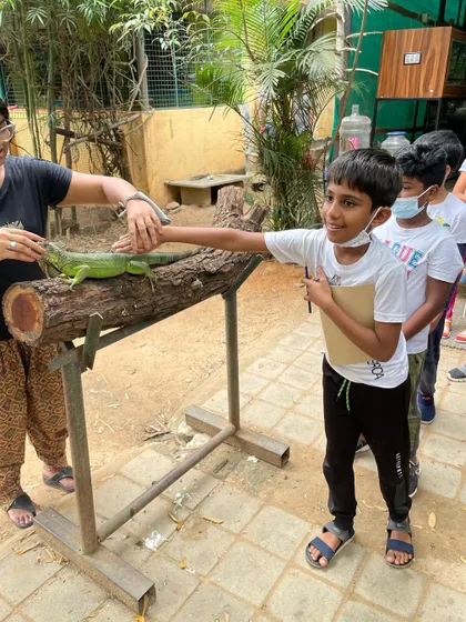 A student gently touches an iguana under the careful supervision of a guide at the sanctuary. This hands-on encounter helps demystify reptiles and sparks scientific curiosity about different animal species.