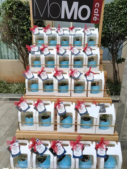 Eco-friendly return gifts like these small potted plants are a thoughtful way to thank your guests. I can arrange and package them to match your event's theme.