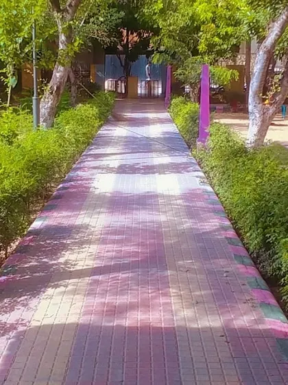 A well-maintained walkway at Mehndi Park in Gurgaon, lined with trimmed hedges. Our public park maintenance contracts cover the complete care of pathways, lawns, and planted areas.