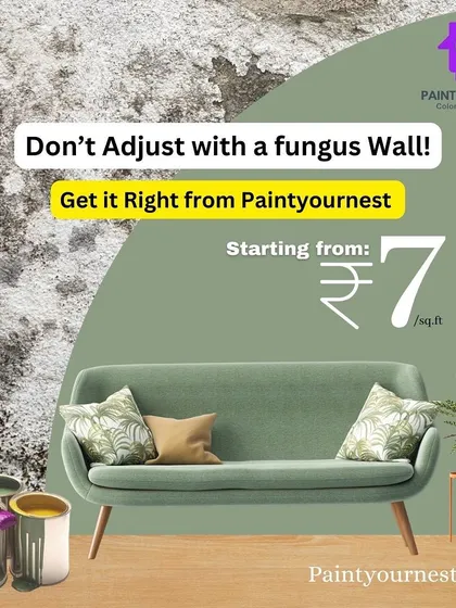 Don't adjust with damp or fungus-affected walls. We provide effective solutions to treat and repaint your walls, restoring them to a healthy and beautiful condition.