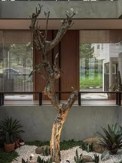 A sunken indoor courtyard featuring a sculptural deadwood tree as the centerpiece. Surrounded by low-maintenance succulents and white pebbles, this dry garden offers a dramatic and artistic focal point with minimal water needs.