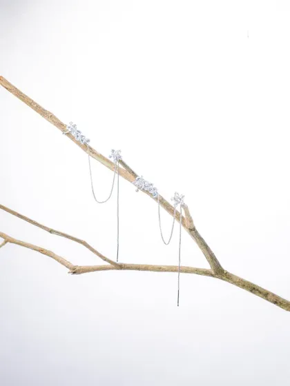 A wider shot of the earrings on the branch, providing more context and a different compositional option.