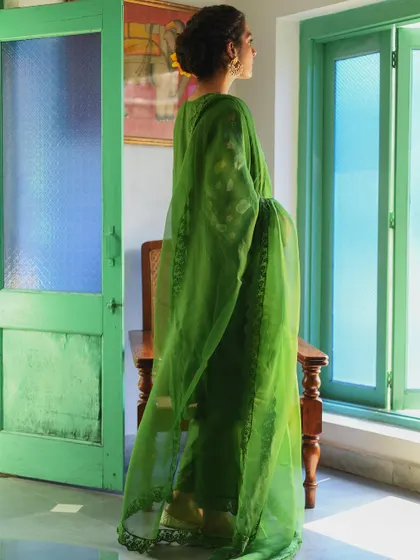 A shot from the back, capturing the light filtering through the sheer green dupatta. This artistic shot highlights the fabric's texture and color beautifully.