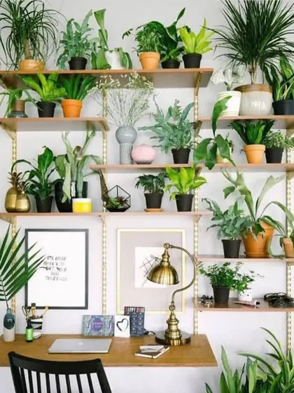 Turn your workspace into a green sanctuary. This desk setup uses wall-mounted shelves to hold a variety of small to medium-sized plants, improving air quality and boosting creativity.