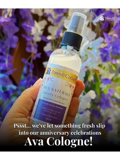 As part of our anniversary, we were thrilled to launch our Ava Cologne. This image captures the excitement of introducing a fresh, new, natural product to our community.