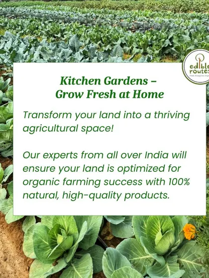 My service for kitchen gardens helps you transform your land into a thriving agricultural space, using 100% natural methods and high-quality products to ensure organic success.