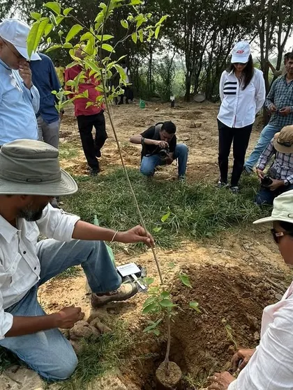 Our rewilding expert demonstrates the correct planting technique to the Bry-Air team, ensuring the native sapling gets the best start.