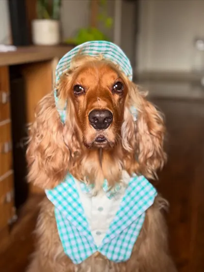 A perfect portrait of Posto in his twinning outfit. He has the most expressive eyes.