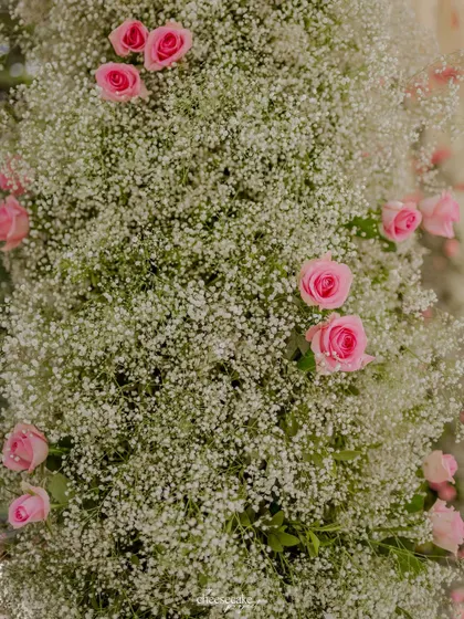 A close-up of the baby's breath and pink rose combination, showing the freshness and quality of the flowers we use for our designs.
