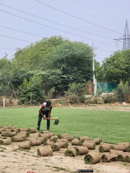 A worker at our farm, preparing the ground for the next crop of turf. Our cycle of cultivation ensures a steady supply.