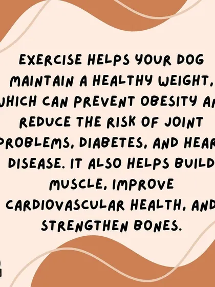 Regular exercise helps your dog maintain a healthy weight, which prevents joint problems, diabetes, and heart disease. It also builds muscle and strengthens bones.