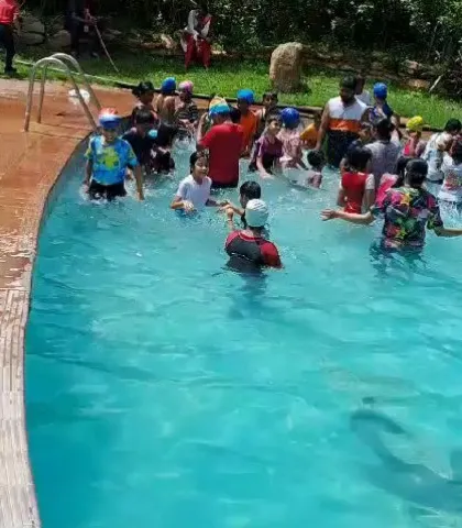 The swimming pool is always a highlight for school trips. It's a great way for kids to cool off and have some unstructured fun under the watchful eyes of my staff. I ensure the pool area is clean and safe for everyone.